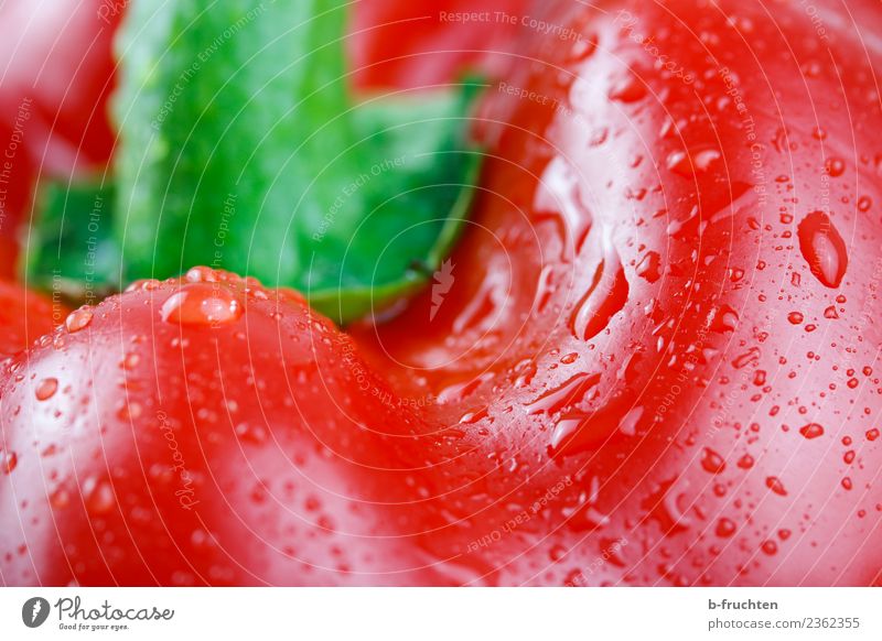 Paprika frisch Gemüse Gesundheit kaufen rot Begierde Wassertropfen geschmackvoll Vitamin Tropfen genießen Erotik feminin Farbfoto Studioaufnahme Makroaufnahme