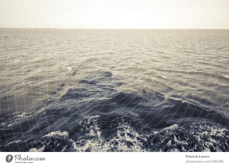 Spiekeroog | Überfahrt Meer Wellen Urelemente Wasser Himmel Horizont Nordsee Bewegung Natur Farbfoto Außenaufnahme Menschenleer Textfreiraum oben Tag Licht