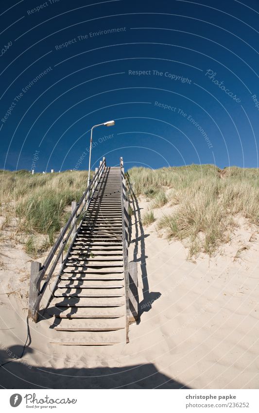 Stairway to heaven Ferien & Urlaub & Reisen Tourismus Sommer Strand Sand Wolkenloser Himmel Schönes Wetter Küste Treppe Holz Beginn aufsteigen Stranddüne