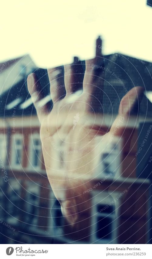 Abende Mit Langen Schatten. maskulin Hand Finger Haus festhalten Gefühle Reflexion & Spiegelung Fenster Fensterscheibe Glas Glasscheibe Farbfoto Innenaufnahme
