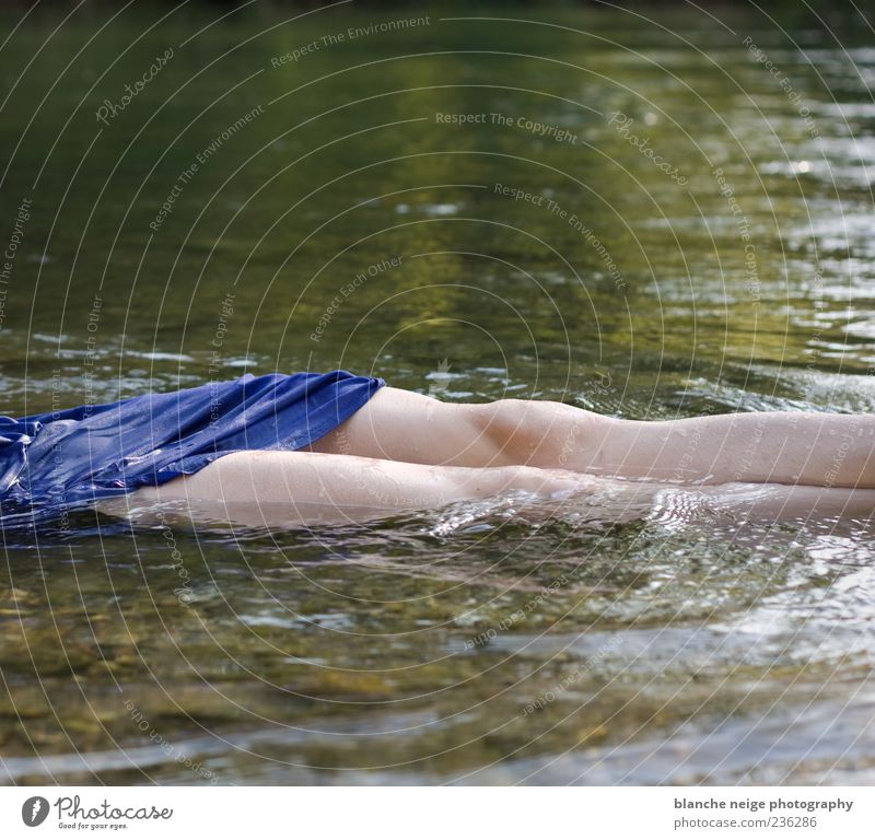 betrunken von deinen Tränen. Haut Wellness Schwimmen & Baden feminin Junge Frau Jugendliche Erwachsene Beine 1 Mensch 18-30 Jahre Natur Wasser Fluss liegen