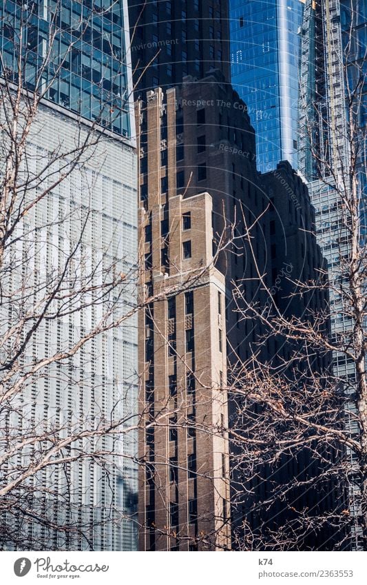 NYC - Manhattan Winter Baum New York City USA Amerika Hauptstadt Stadtzentrum Menschenleer Hochhaus Fassade Fenster Stein Beton Glas Stahl gigantisch groß hoch