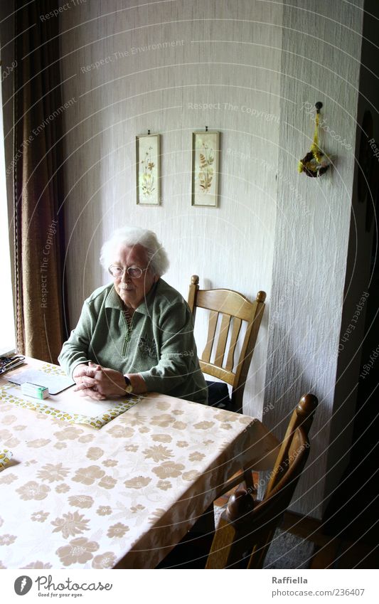 Zuhause V Häusliches Leben Wohnung Stuhl Tisch Tapete Vorhang Gardine Frau Erwachsene Weiblicher Senior Großmutter Kopf Hand 60 und älter Pullover Bluse Brille