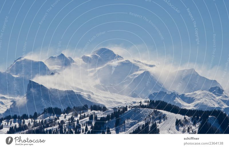 Puderzuckersturm Umwelt Natur Landschaft Wolkenloser Himmel Sonnenlicht Winter Klima Schönes Wetter Sturm Eis Frost Schnee Felsen Alpen Berge u. Gebirge Gipfel