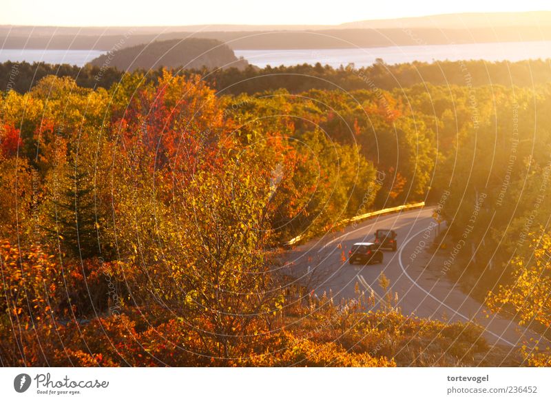 Indian Summer @ Acadia NP Erholung Ferien & Urlaub & Reisen Tourismus Ausflug Ferne Freiheit Sommer Sonne Meer Natur Landschaft Horizont Sonnenaufgang