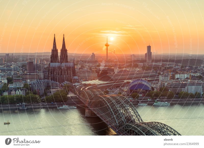 Kölner Abendkitsch Skyline Dom Ferien & Urlaub & Reisen Deutschland Großstadt Cityscape Rhein Farbfoto Außenaufnahme Sonnenaufgang Sonnenuntergang