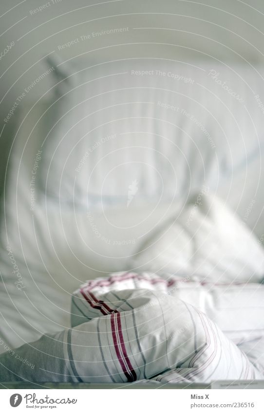 Bettzipfel weiß Falte Bettdecke Kopfkissen leer Farbfoto Innenaufnahme Menschenleer Morgen Schwache Tiefenschärfe gebraucht