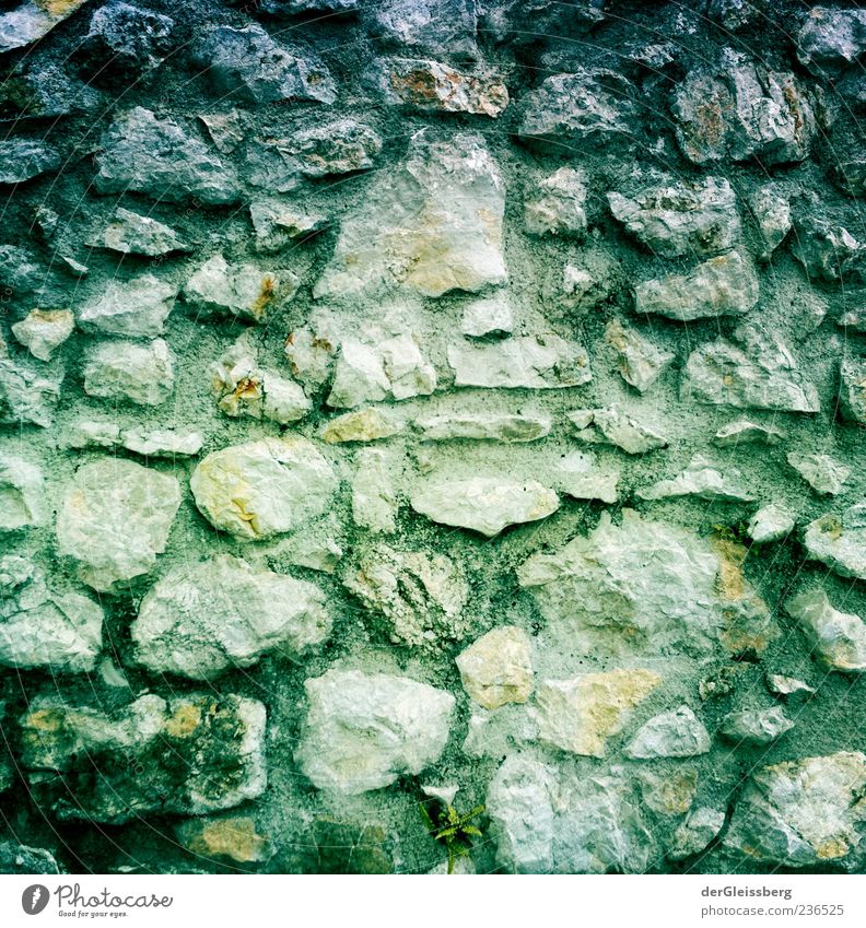 steinige Wege 1 Bauwerk alt grau grün Stein eckig Farbfoto Muster Strukturen & Formen Menschenleer Steinwand
