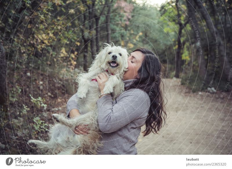 Freunde Lifestyle Freizeit & Hobby wandern Frau Erwachsene 30-45 Jahre Umwelt Natur Grünpflanze Wildpflanze Wald Hügel Haustier Hund Terrier Freundlichkeit