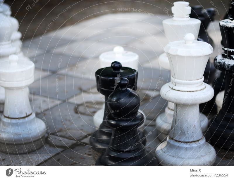 Outdoor-Schach Freizeit & Hobby Spielen Konzentration planen Schachfigur Schachbrett Figur Farbfoto Gedeckte Farben Außenaufnahme Nahaufnahme Menschenleer