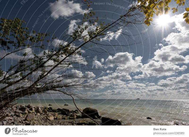 Sunshine Reaggae Sand Himmel Wolken Horizont Sonnenlicht Sommer Klima Schönes Wetter Baum Küste Strand Ostsee Insel Rügen Fröhlichkeit Zufriedenheit