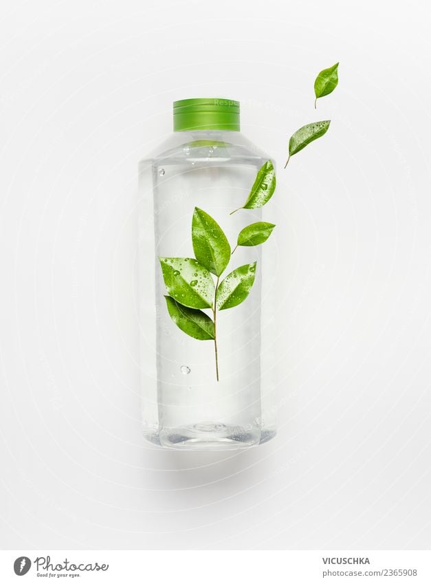 Flasche mit Wasser und grünen Blättern Getränk trinken Erfrischungsgetränk Trinkwasser kaufen Stil Design Gesundheit Gesunde Ernährung Wellness Leben Sommer