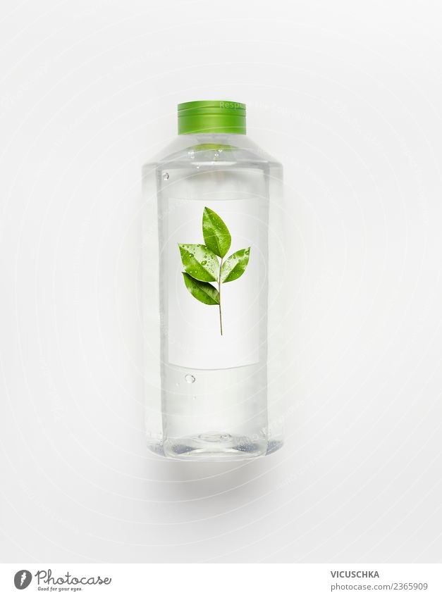Wasserflasche mit grünen Blättern Getränk Erfrischungsgetränk Trinkwasser Lifestyle Stil Gesundheit Wellness Leben Sommer Natur Coolness Design rein Mineralien
