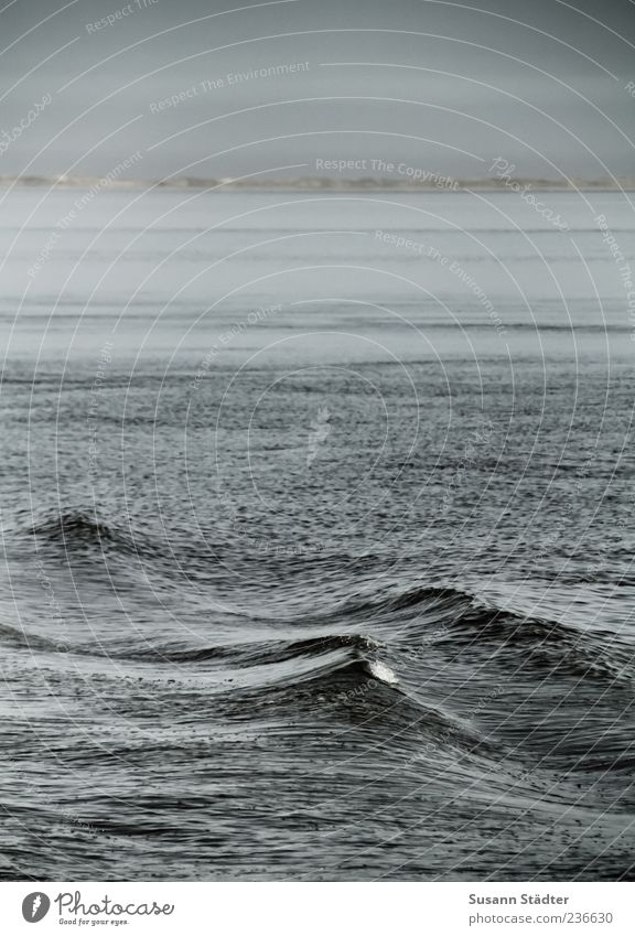 Spiekeroog | Meer und Du Wellen dunkel Außenaufnahme Menschenleer Wasseroberfläche