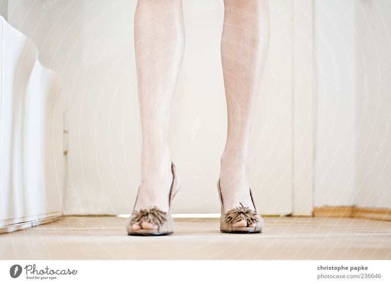 Nudelook feminin Beine Fuß Schuhe Damenschuhe gehen stehen elegant schön Stil Innenaufnahme Nahaufnahme Schwache Tiefenschärfe Unterschenkel braun Mode