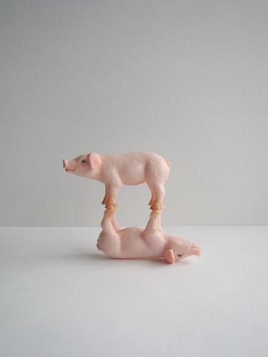 Kunststück Tier Nutztier Schwein 2 berühren liegen stehen außergewöhnlich Zusammensein lustig verrückt grau rosa weiß Gefühle Stimmung Freude Fröhlichkeit
