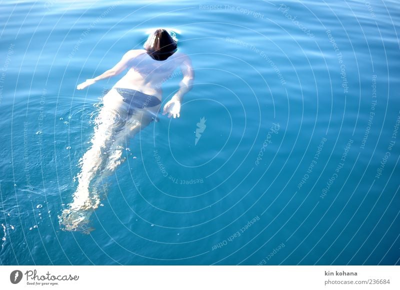 sommer lll Sommerurlaub Meer feminin Junge Frau Jugendliche Erwachsene 1 Mensch brünett Schwimmen & Baden genießen blau Zufriedenheit See Wasser Bikini Farbfoto