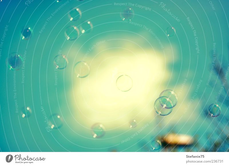 Seifenblasen Wasser Luftblase beobachten fliegen genießen Spielen Coolness Fröhlichkeit frisch Glück trendy schön Kitsch modern nass mehrfarbig Freude