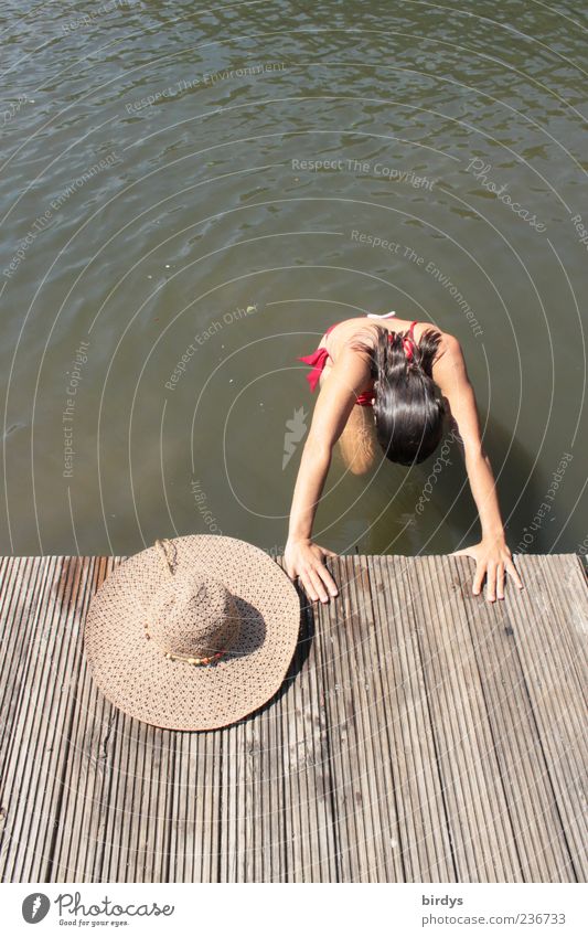 Und der Hut schaut zu Schwimmen & Baden Sommer Junge Frau Jugendliche 1 Mensch 18-30 Jahre Erwachsene Wasser Schönes Wetter Seeufer Erholung feminin