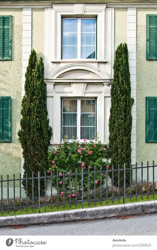 Zypressen vorm Haus Traumhaus Mauer Wand Fassade Fenster ästhetisch elegant grün Fensterladen Fensterbogen Gartenzaun Sträucher Farbfoto Außenaufnahme