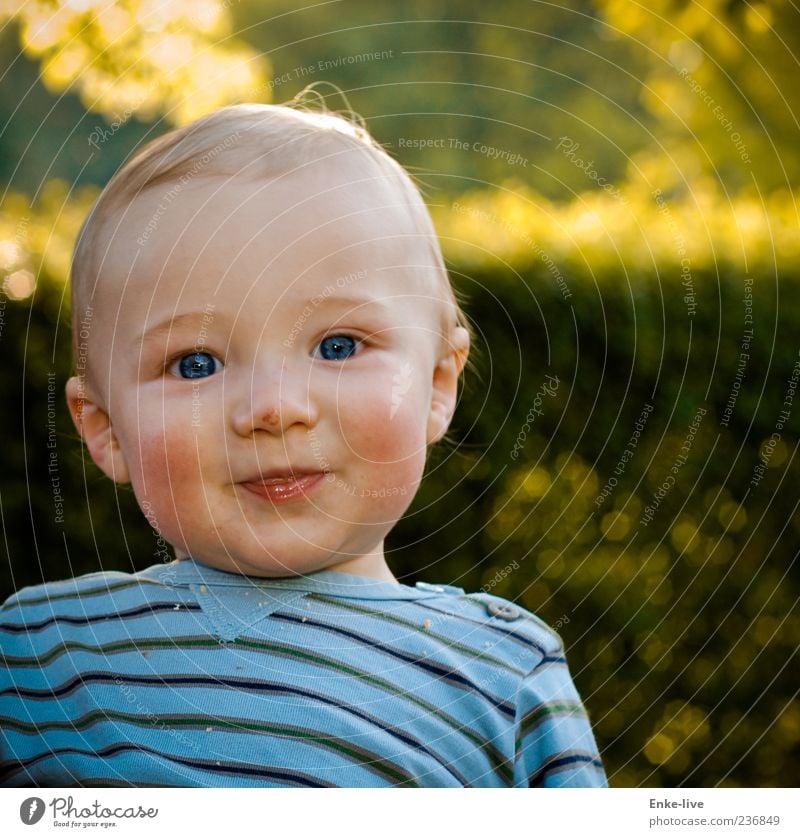 schau mir in die Augen kleines Mensch maskulin Kleinkind Junge Kopf 1 Natur Garten Park glänzend Lächeln Blick leuchten fantastisch Fröhlichkeit blau grün