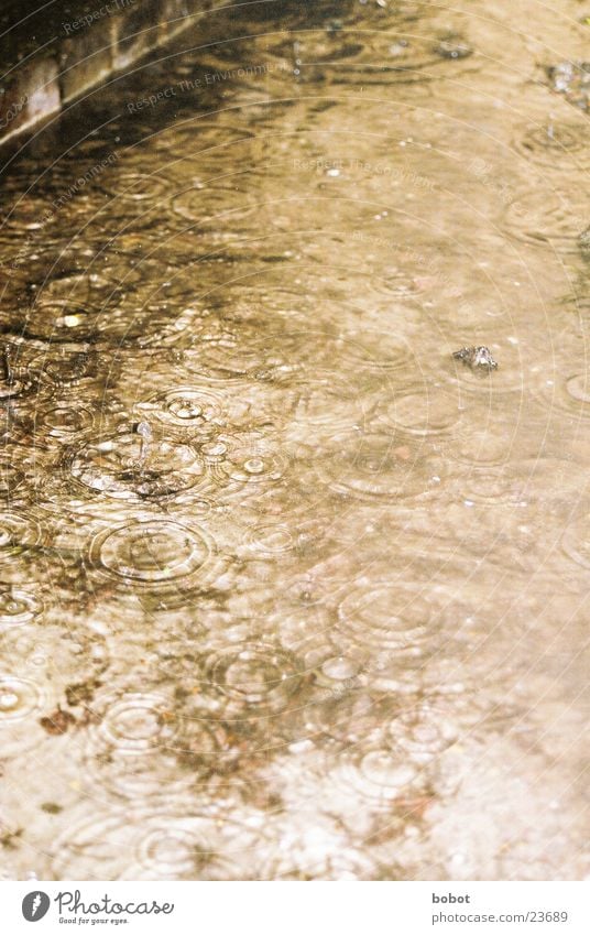 Raindrops Regen Wellen Reflexion & Spiegelung Trauer nass feucht Wasser Traurigkeit kräuseln Überschwemmung