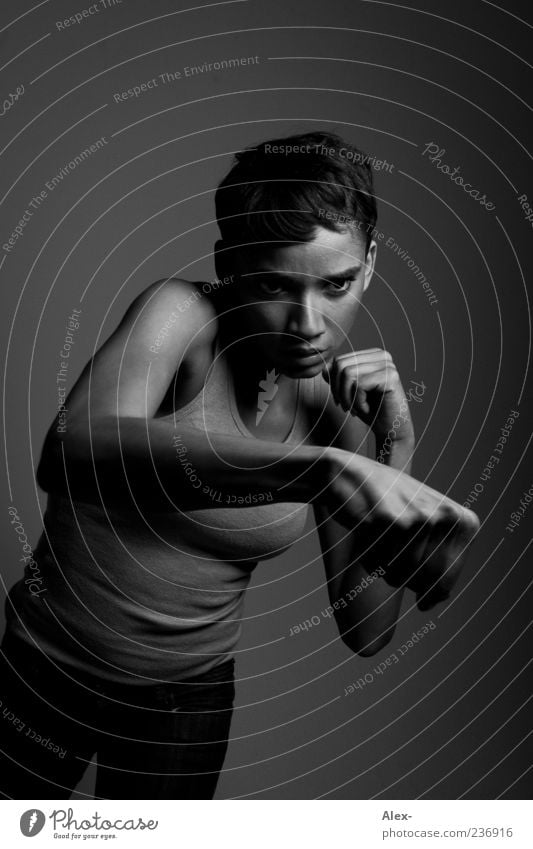 The Shadowboxer Sport Kampfsport feminin Frau Erwachsene 1 Mensch 18-30 Jahre Jugendliche T-Shirt Jeanshose schwarzhaarig kurzhaarig Fitness kämpfen Aggression