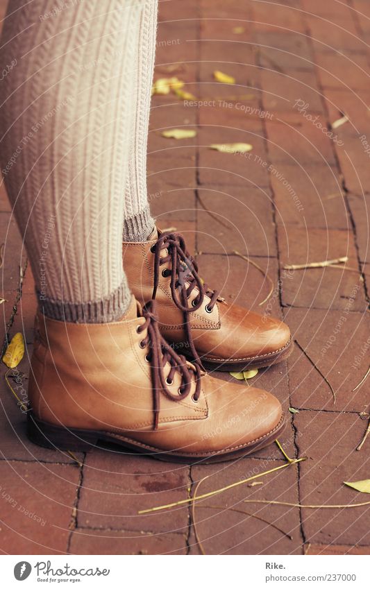 Stillstehen. Mensch feminin Beine Fuß 1 Natur Herbst Blatt Mode Strümpfe Strumpfhose Leder Schuhe Stiefel Wanderschuhe warten trendy stagnierend Pflastersteine