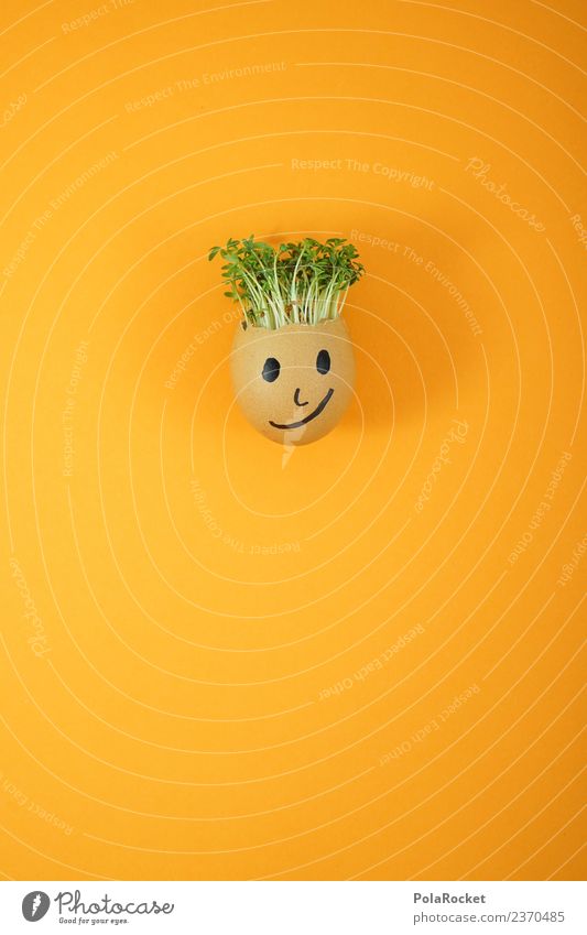 #S# Don Kressos II Lebensmittel Glück Freude Ei Ostern Kresse Kunst Kreativität Witz orange Pflanze nachhaltig ökologisch Wachstum Gesicht Kindheit Basteln