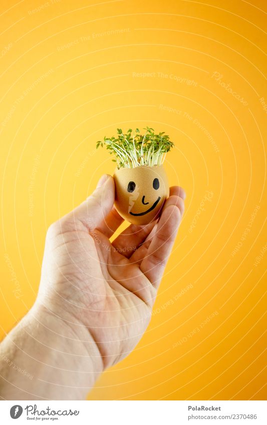 #S# Don Kressos III Lebensmittel Glück Freundschaft Ei Hand Ostern Kresse Kreativität Witz orange Pflanze nachhaltig ökologisch Wachstum Gesicht Kindheit