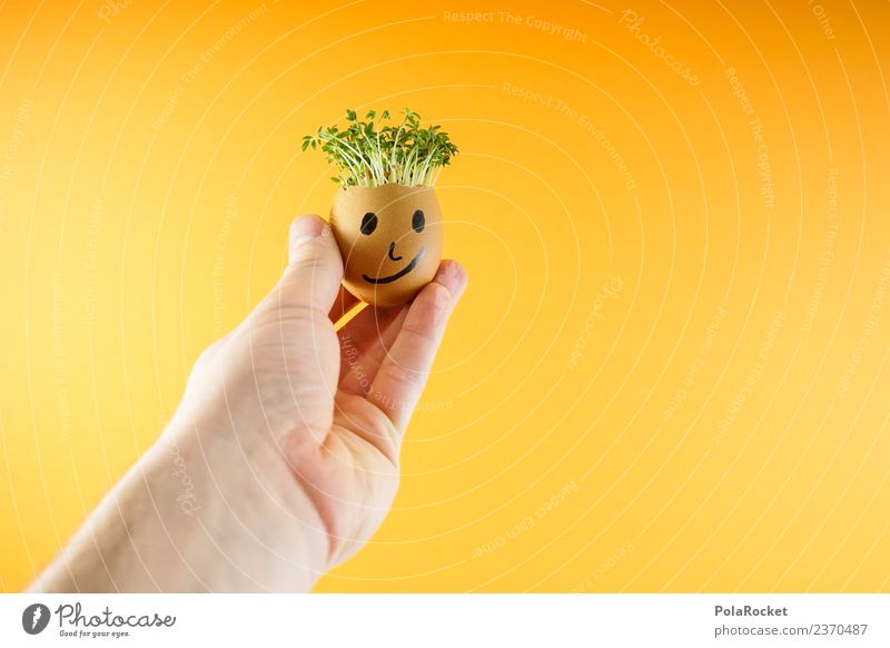 #S# Don Kressos IV Lebensmittel Glück Freude Ei Hand Ostern Kresse Kunst Kreativität Witz orange Pflanze nachhaltig ökologisch Wachstum Gesicht Kindheit Basteln
