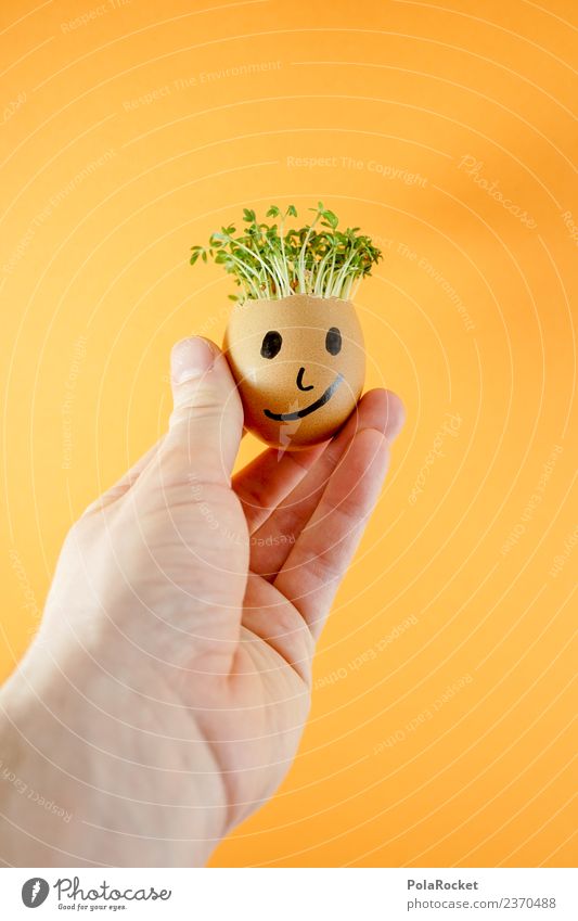 #S# Don Kressos Lebensmittel Glück Freude Ei Hand Ostern Kresse Kunst Kreativität Witz orange Pflanze nachhaltig ökologisch Wachstum Gesicht Kindheit Basteln
