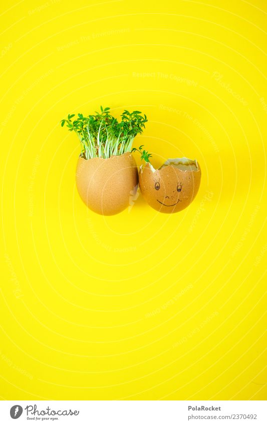 #S# Eier-Freunde Lebensmittel Freude Ostern Kresse Kunst ästhetisch Witz grün gelb nachhaltig ökologisch Wachstum Haare & Frisuren Haarausfall