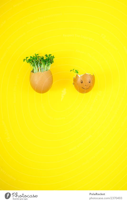 #S# Haarausfall Lebensmittel Freude Ei Ostern Kresse Kunst ästhetisch Witz grün gelb nachhaltig Haare & Frisuren Haare schneiden Basteln Kindheit Gesicht frisch