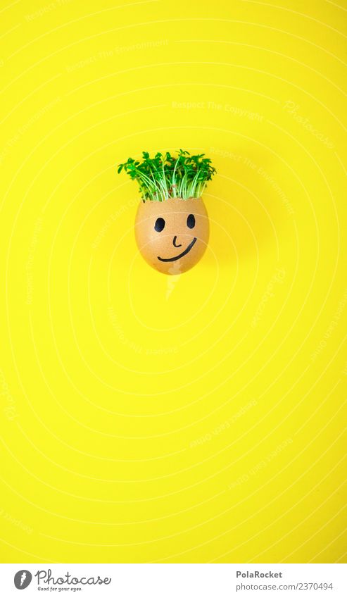 #S# Don Kressos V Lebensmittel Glück Ei gelb Ostern Kresse Kreativität Witz Pflanze nachhaltig ökologisch Wachstum Gesicht Kindheit Basteln frisch Coolness