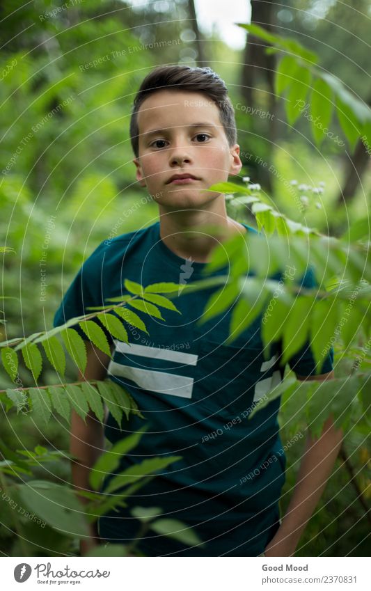 Porträt eines jungen, schönen Teenagers im Wald Lifestyle Gesicht Freizeit & Hobby Ferien & Urlaub & Reisen Tourismus Abenteuer Sommer Mensch Junge Mann