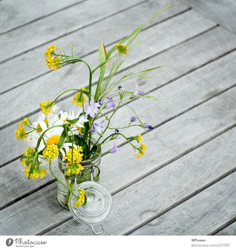 Einweckblumen Einmachglas Blumenvase Blumenstrauß Holztisch Frühlingsblume Frühblüher Menschenleer Textfreiraum rechts Stillleben Tischdekoration