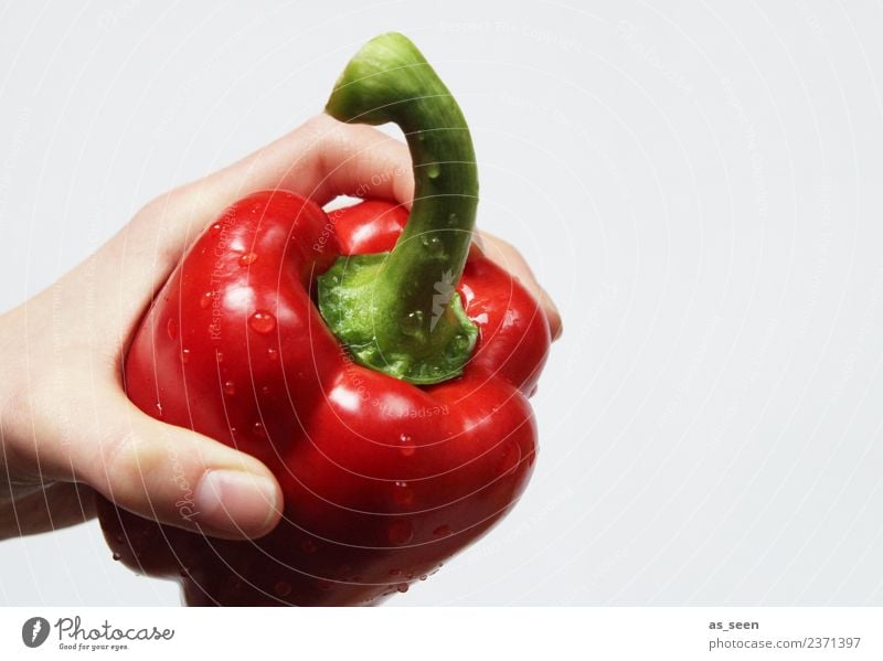 Frische rote Paprika Gemüse Ernährung Essen Bioprodukte Vegetarische Ernährung Diät Gesundheit Wellness Leben Wohlgefühl Sinnesorgane Frucht festhalten exotisch