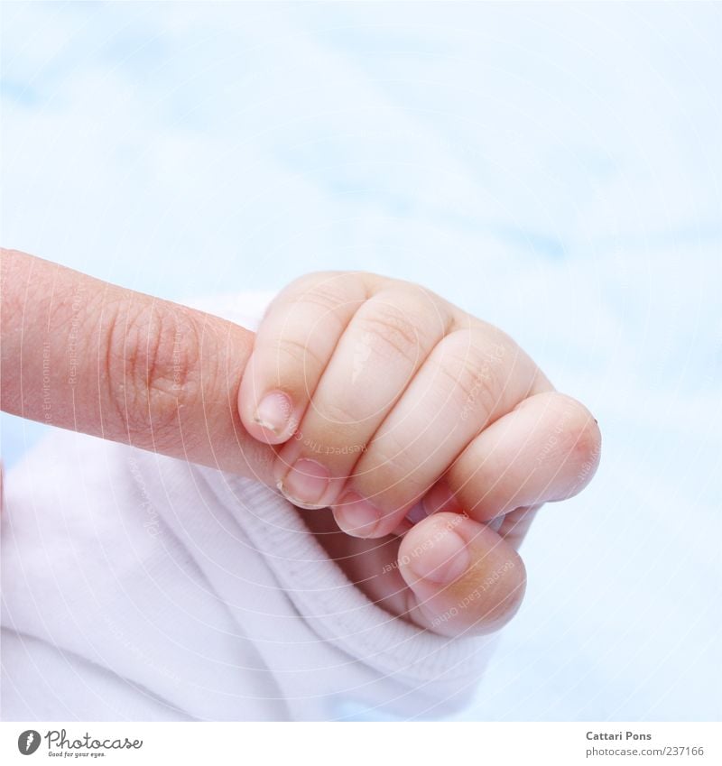 der Griff Baby Hand 0-12 Monate berühren festhalten lernen machen Spielen frisch hell nah dünn weich Energie Entschlossenheit Kindheit Finger Fingernagel Haut