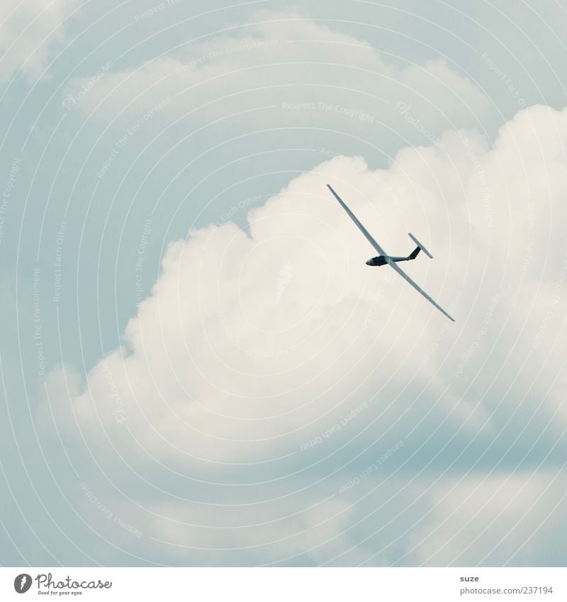Huuuiiiiiii Freizeit & Hobby Freiheit Luftverkehr Umwelt Himmel Wolken Klima Schönes Wetter Wind Sportflugzeug Segelflugzeug fliegen Freundlichkeit hell blau