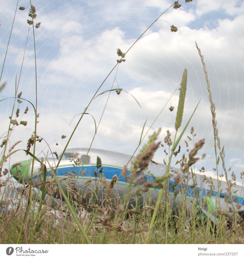Tiefflieger... Ferien & Urlaub & Reisen Tourismus Luftverkehr Umwelt Natur Pflanze Himmel Wolken Gras Grünpflanze Wildpflanze Wiese Flugzeug Passagierflugzeug