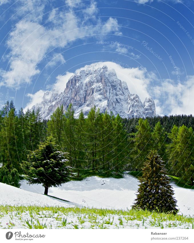 Endlich Sommer!! Umwelt Natur Landschaft Himmel Wolken Eis Frost Schnee Wiese Wald Alpen Berge u. Gebirge Langkofel Gipfel Schneebedeckte Gipfel ästhetisch
