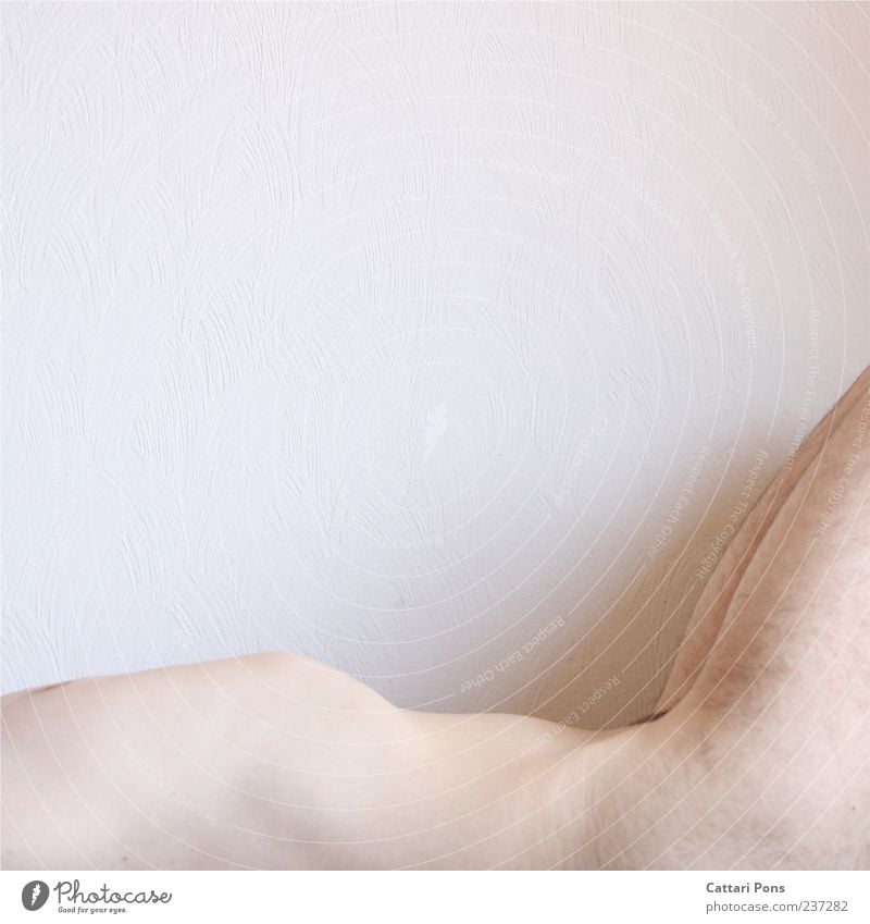Berg & Tal maskulin Junger Mann Jugendliche Erwachsene Körper 1 Mensch liegen nackt dünn Brustkorb Behaarung Bauch hell weiß Innenaufnahme Tag Nackte Haut