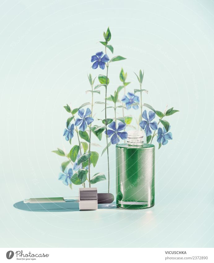 Grüne Gesichtsserum mit Pipette , Blumen und Kräuter Stil Design schön Kosmetik Parfum Gesundheit Spa Natur Pflanze trendy Serum Heilpflanzen grün