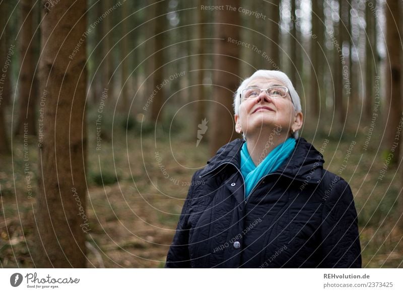 Seniorin guckt nach oben Weiblicher Senior Erwachsene Frau Großmutter Leben Landschaft Natur Herbst Wald weißhaarig beobachten Jacke Brille Schal Umwelt