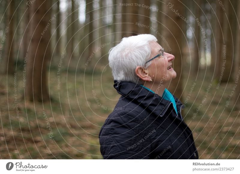 Seniorin schaut im Wald nach oben Mensch feminin Großmutter Kopf 1 60 und älter Umwelt Natur Herbst Winter Jacke Brille weißhaarig beobachten stehen alt