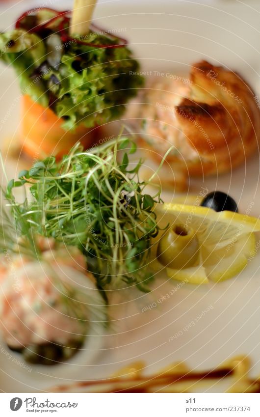 Vorspeise Lebensmittel Fisch Salat Salatbeilage Frucht Kräuter & Gewürze Ernährung Mittagessen Festessen Teller Duft frisch schön Kresse Zitrone Oliven