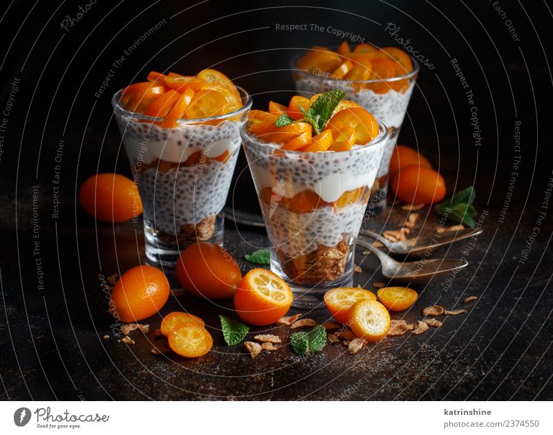Chiapudding-Parfait, geschichtet mit Kumquat und Müsli Joghurt Frucht Dessert Essen Frühstück Diät Schalen & Schüsseln Löffel dunkel hell grün weiß Farbe