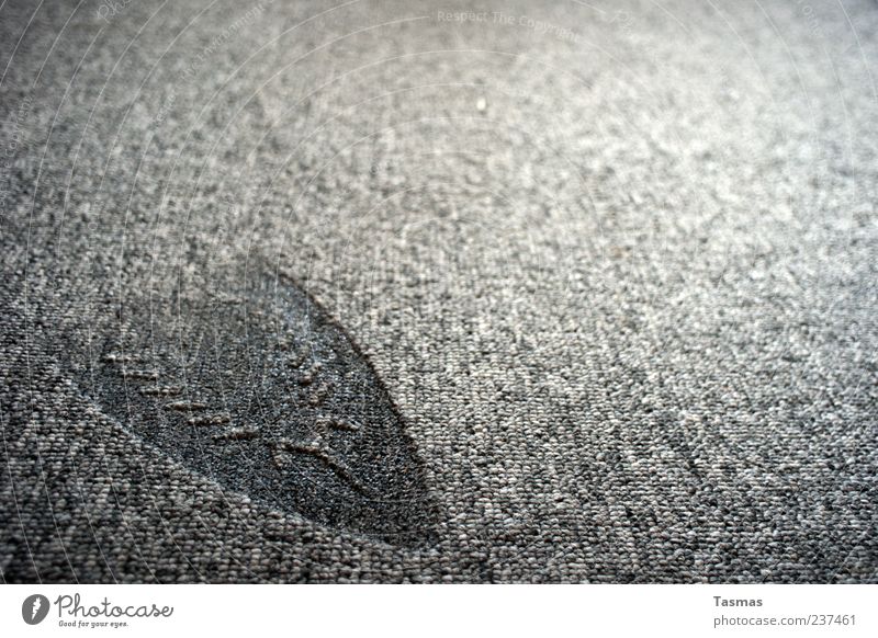 bleibender Eindruck Teppich Bügeleisen fallen hässlich verbrannt Abdruck Strukturen & Formen kaputt grau Farbfoto Nahaufnahme Detailaufnahme Makroaufnahme
