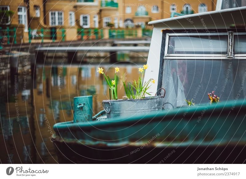 Blumen in Eimer auf einem Boot im Hafen Lifestyle Angeln Glück Zufriedenheit Lebensfreude Frühlingsgefühle Brighton Wasserfahrzeug Bootsfahrt Hausboot Kübel